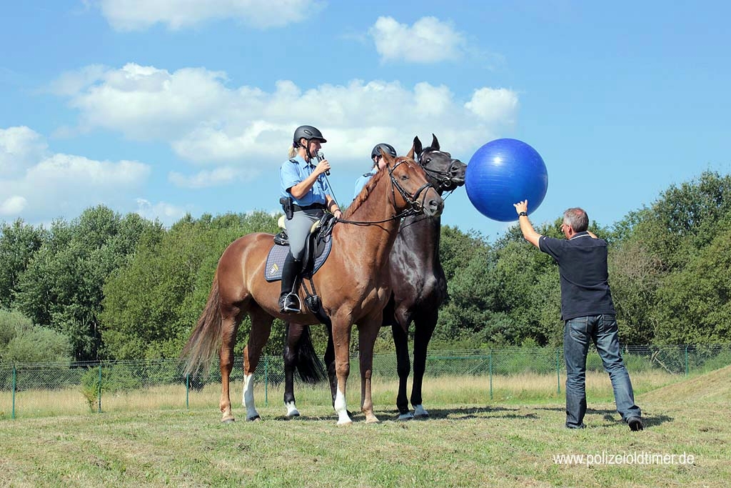 Sommerfest-Polizeioldtimer-Museum_2012 (63).jpg